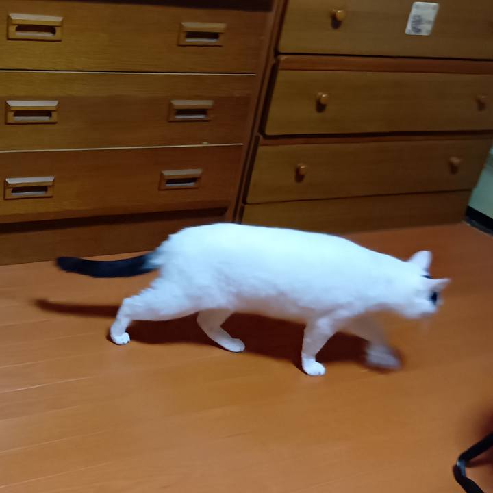 9c92838b 3097 40e2 941f 93f42c461251 1749899248317