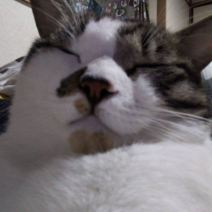 9c9283e7 bf90 4957 98bd 5c7c83f30b90 1632659974551