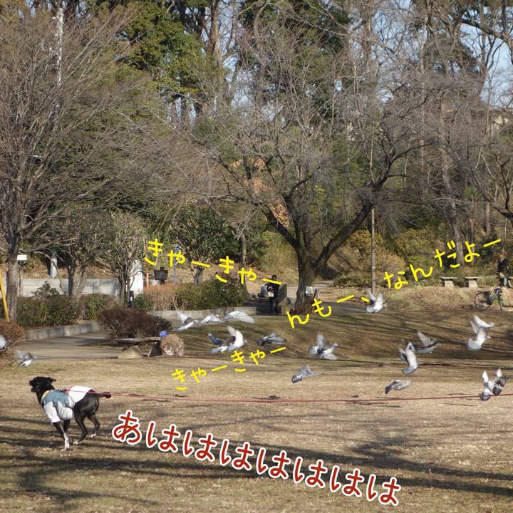 9c928c89 b3da 4790 af7c dffd6ad6b270 1707528285877