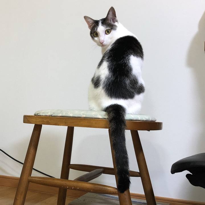 9c929c18 67d3 485e 8338 d3034cfac3e3 1621150946579