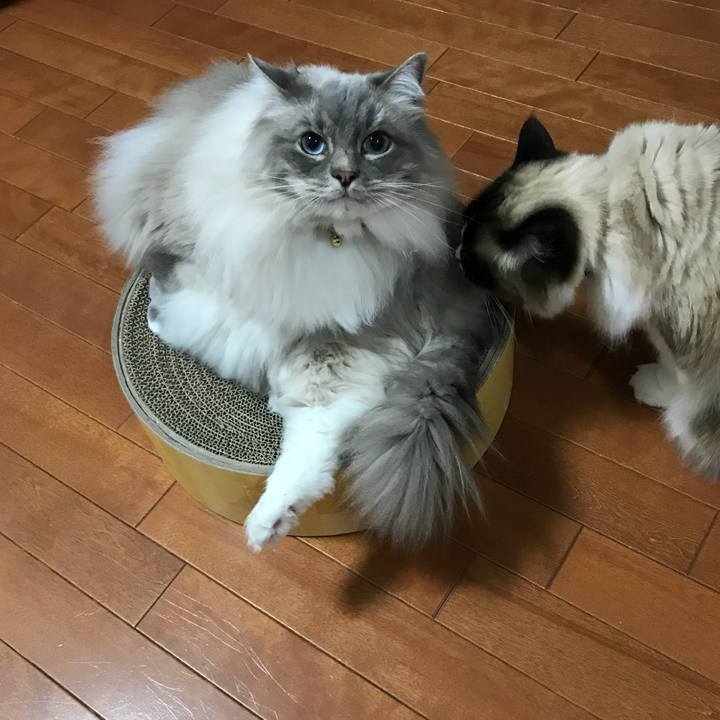 9c92a62c cfae 4a52 9f46 3609de06b5b7 1523572696541