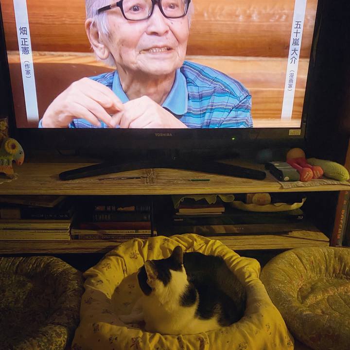 9c92bf29 910a 4541 8f23 2a00c101eb45 1598707083871