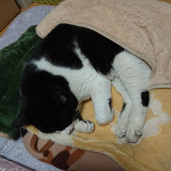 9c92d984 0a7b 4d8f 8eab d88efde2da23 1651147240052