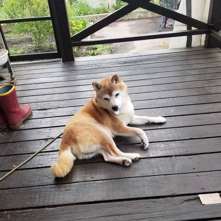 9c92da68 7745 4fca a7d9 5f9aa8dd0de8 1727392839951