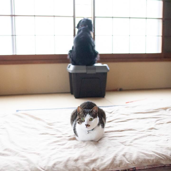 9c92dd6b e907 46bf a8c5 29034bba9f4f 1558628544750