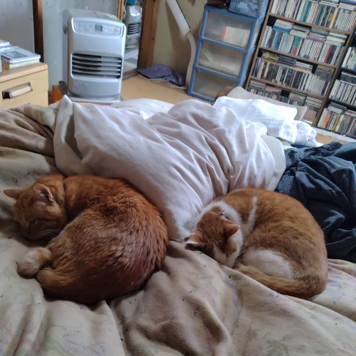 9c931024 2bd4 460a a0b5 0517fc5a1502 1764891540892