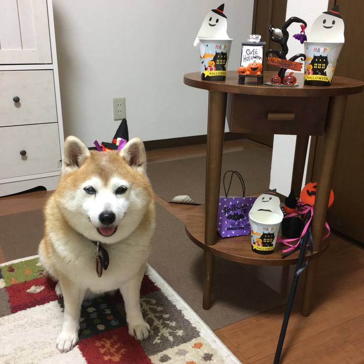 9c933245 7630 4af1 9fca 0ed3feb35346 1572517370010