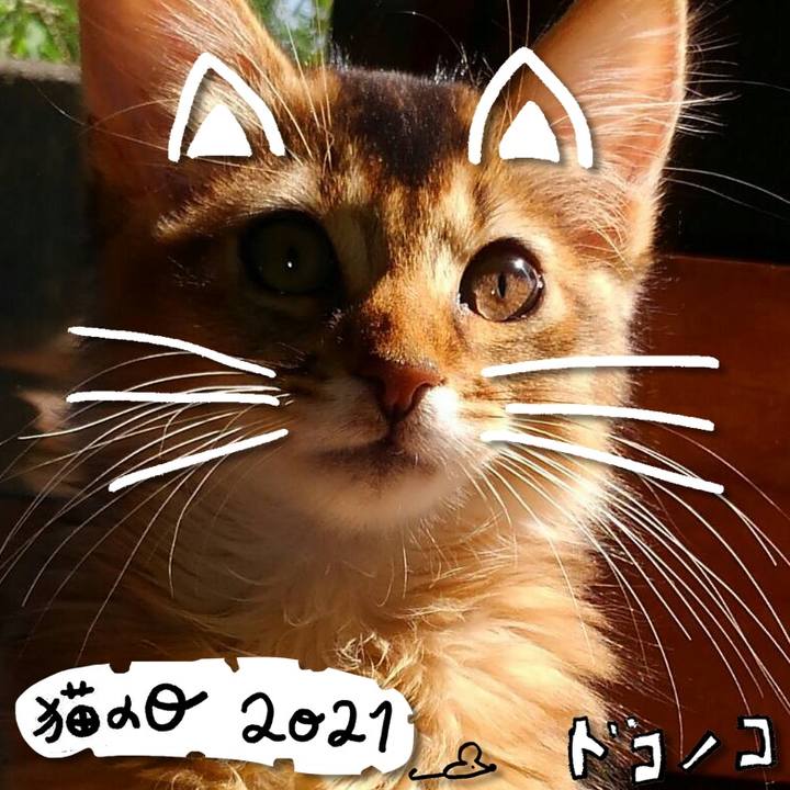 9c93533e 24ff 4fdf aec9 9583e389dc28 1613962715660