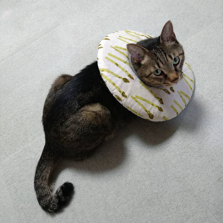 9c935854 41ee 4036 9b16 b9b18babe756 1729675621275