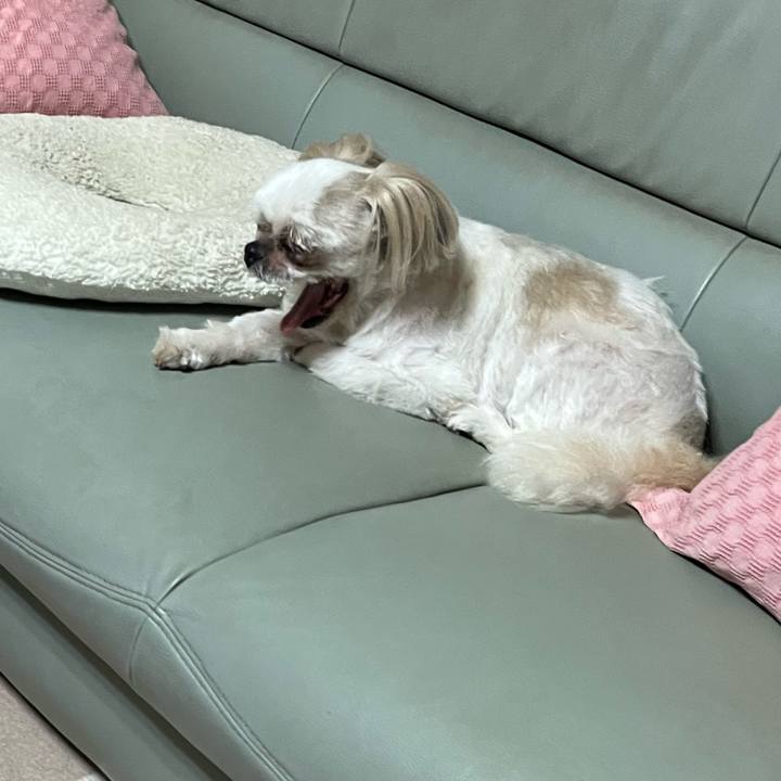 9c936c69 1cff 44b2 8c90 3cbee5d0c5c0 1752229978281