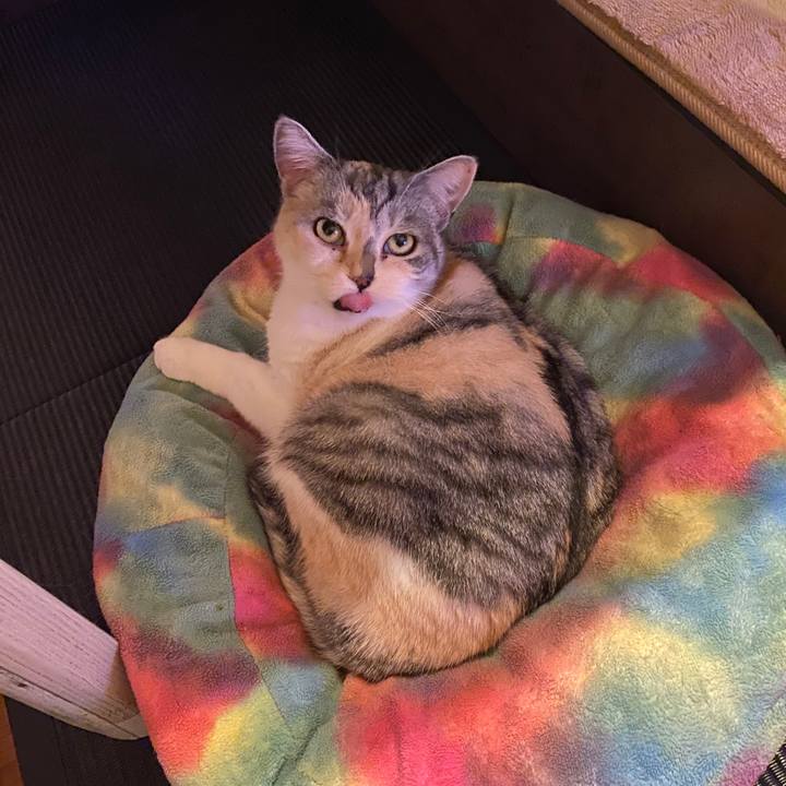 9c93b4e1 27b6 4f4b b43b 69c1f67ee0a4 1577288788855