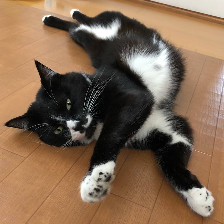 9c93d3f7 bd7b 4106 8014 d967e61b990a 1558842814764