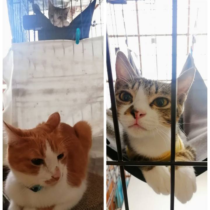 9c93e2af c85e 4db2 a308 19eecce4a3a2 1665874262215