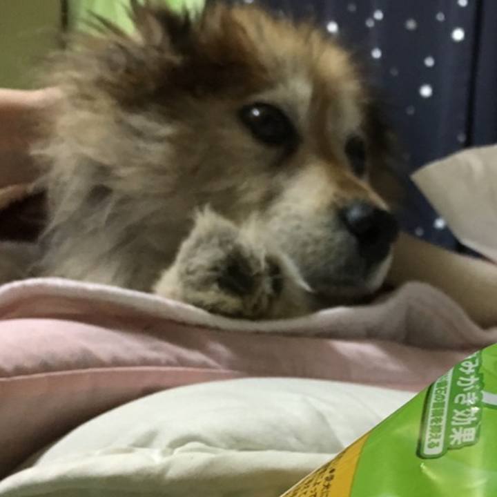 9c941c7f 2d21 4822 898a 2de29bbe4831 1629623398608