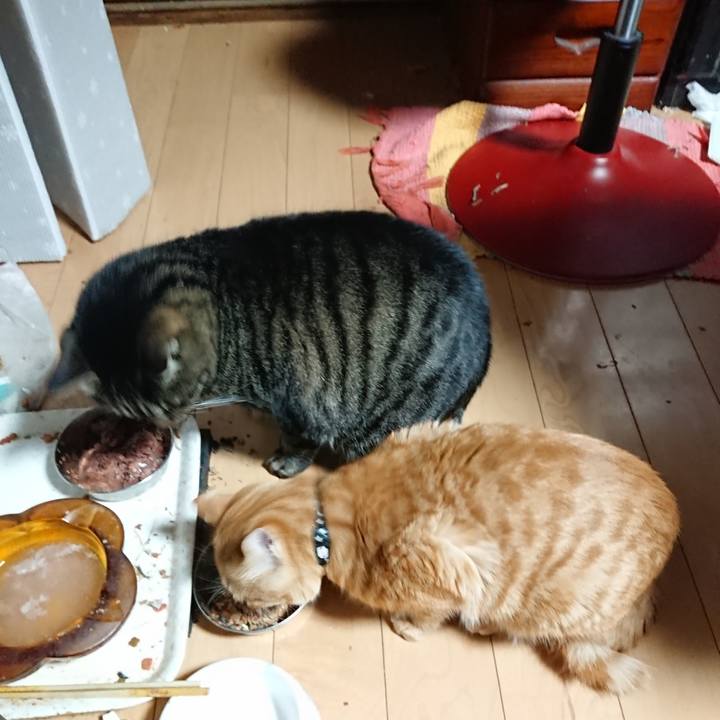 9c943e24 bfbc 44db a801 eaf402f7b18c 1640032518743