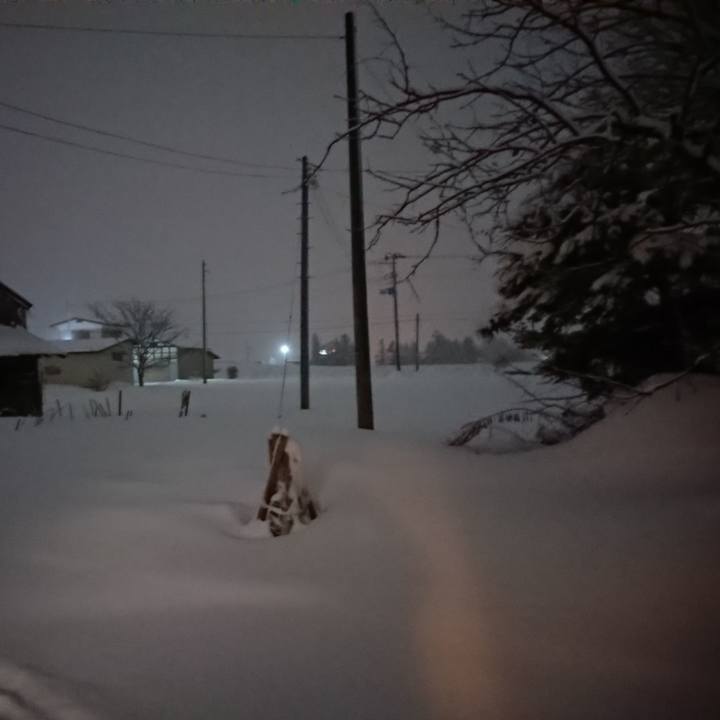 9c9452a8 9f07 4dae bd15 018836c24c33 1609418223551