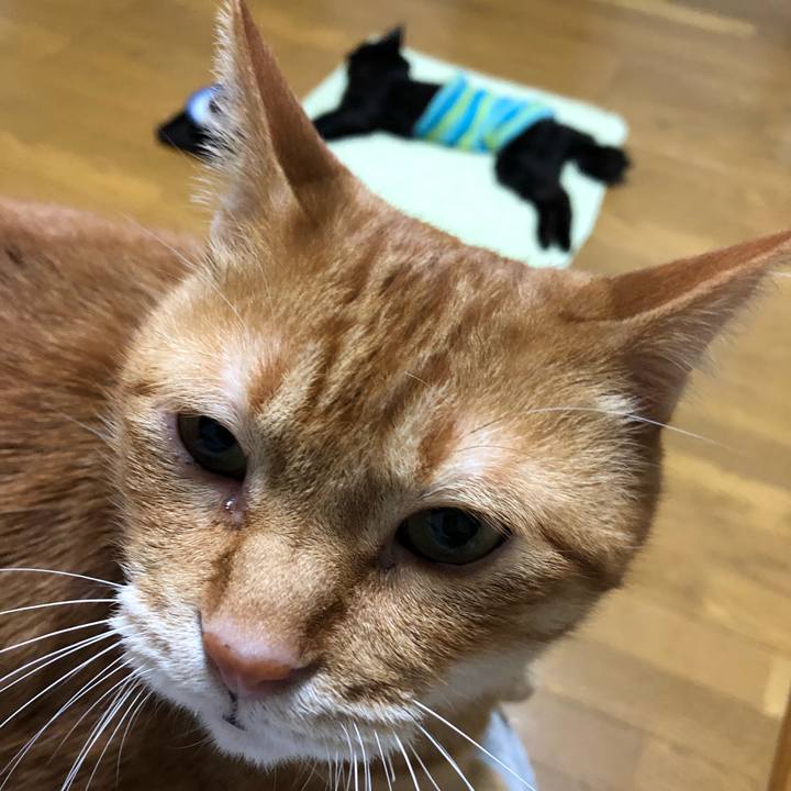 9c945bb9 6bca 45ea 80bd d2899ee436a0 1647598063130