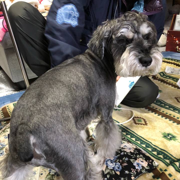 9c947778 bed7 4b7d 8713 55890e33c5c1 1671931406359