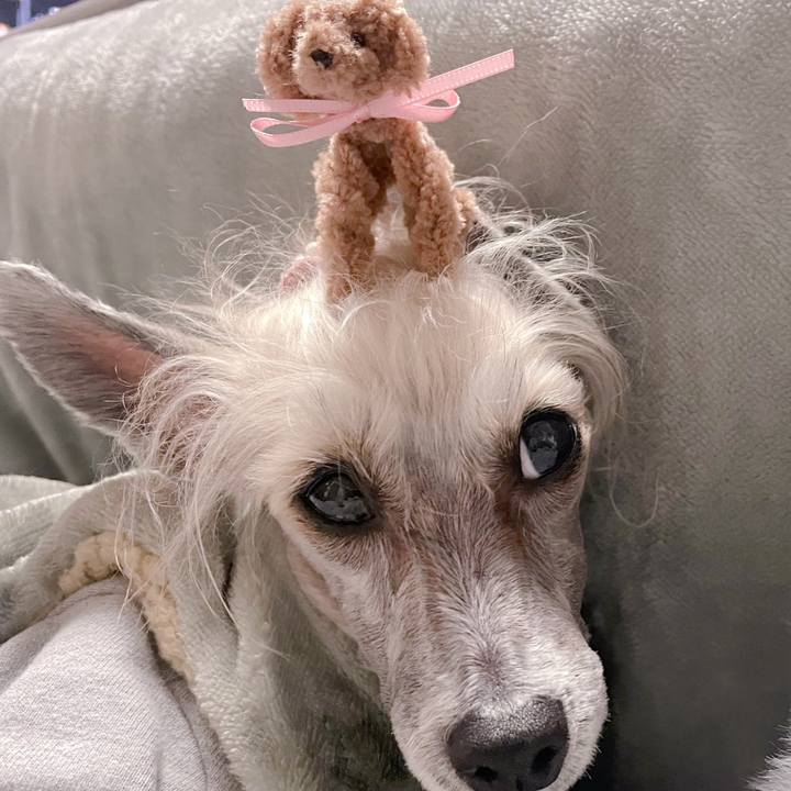 9c954703 4e2c 4982 9caa 8fcf1da0feff 1768289294022