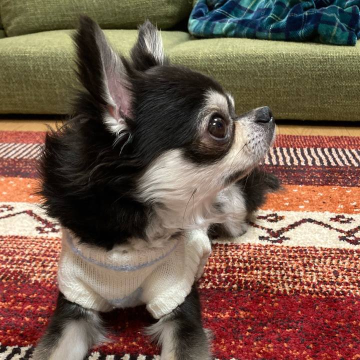 9c9553d2 5d80 47bd a6eb 925faf504057 1672760906528