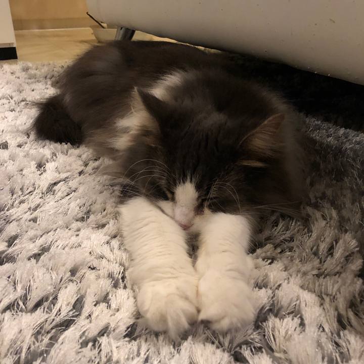 9c95571b 6936 4f08 a46b c4b4ce8d5f07 1542538455815