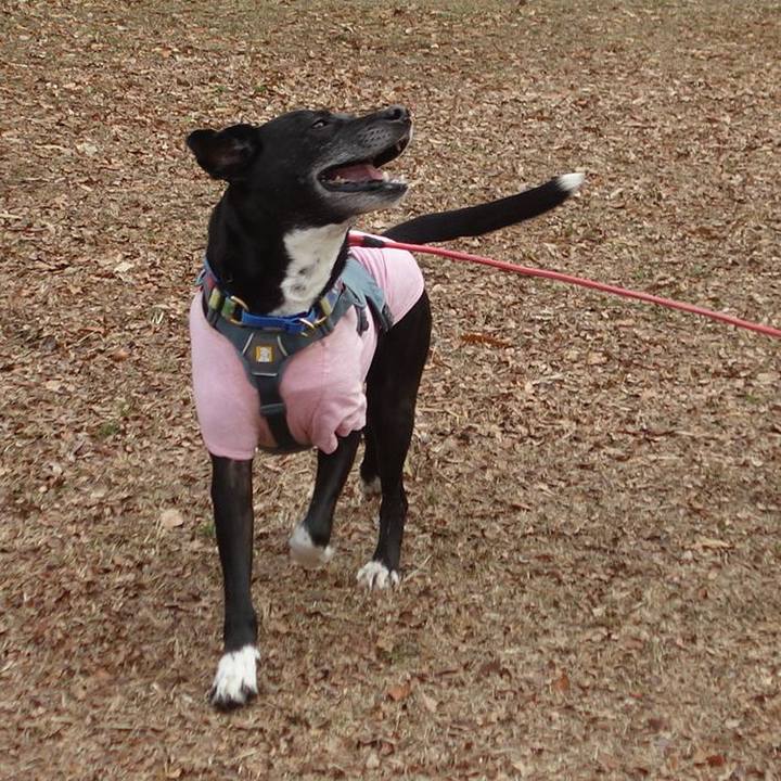 9c955da0 3acc 45b6 9880 34fd85cb8907 1706403180749