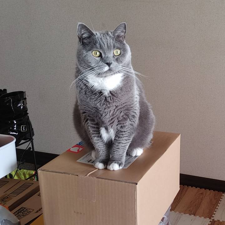 9c956796 b495 408a a6dd 9b8e117f5e2e 1637715415215