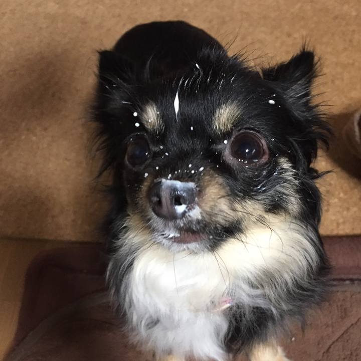 9c95a040 1ed5 4907 a03f 0a5cd2dd2da2 1520116295183