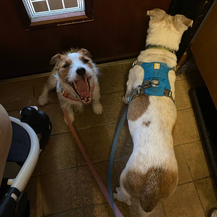 9c960d85 66f6 410b 9007 ec29fb4eea63 1720914700151