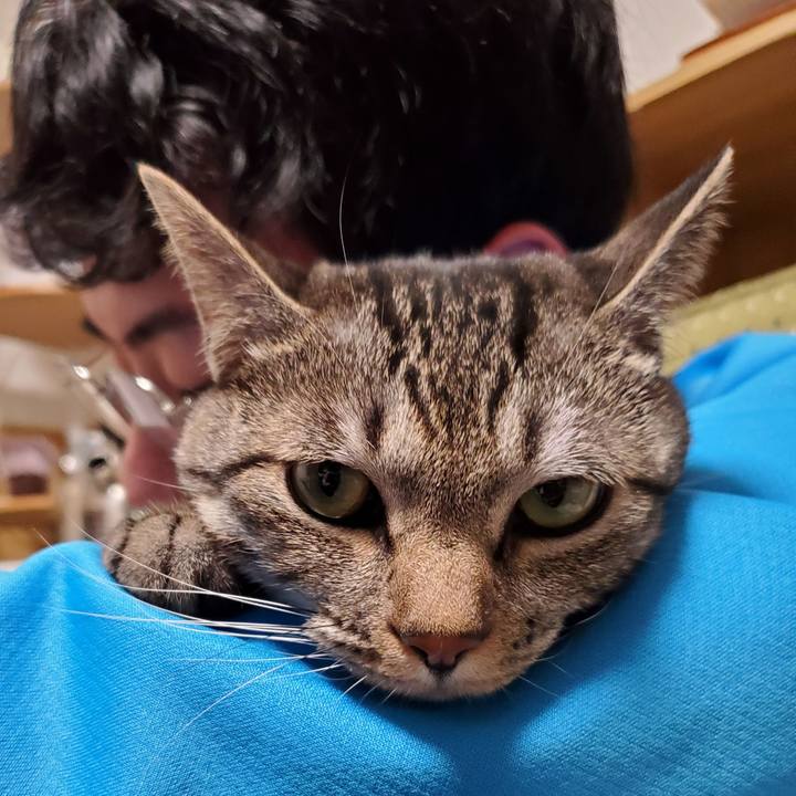 9c962a28 a468 4fdf a70e 56bae6ea48cc 1710594801111