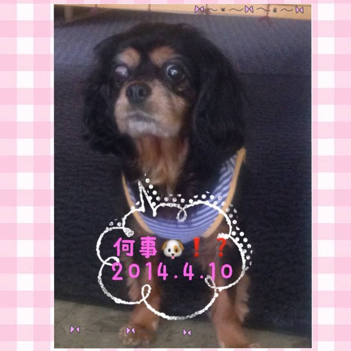 9c963fe4 7bea 48d7 8310 f8c2a4879a54 1538274170805