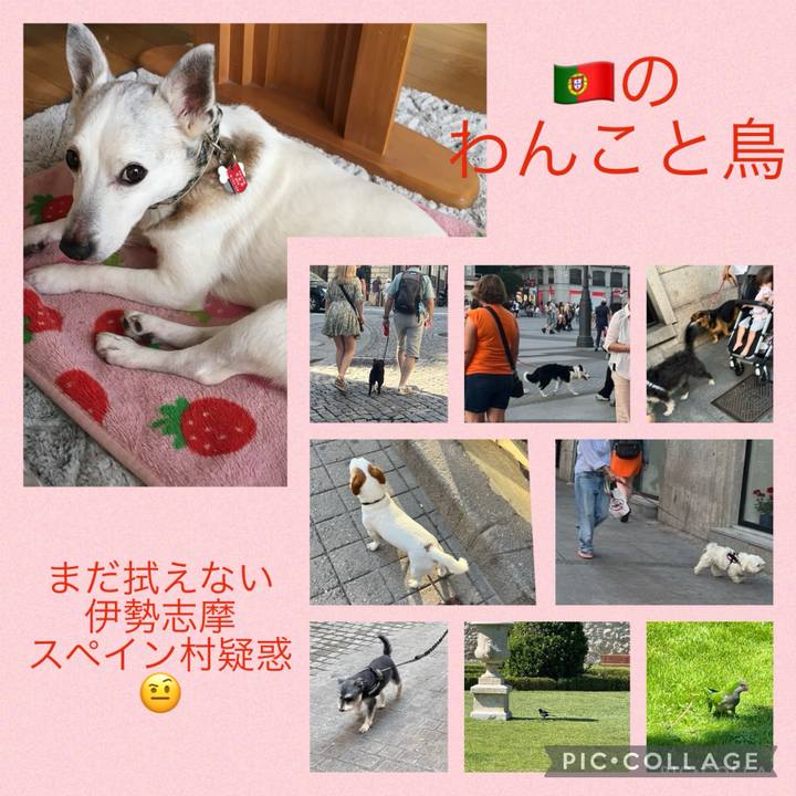 9c9669b2 097d 4d21 a3ea c02d53cf583f 1717022997821