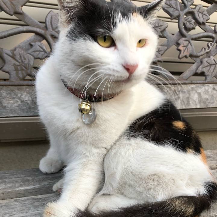 9c96766f 6c33 435b b223 8f3b57278974 1614118605685