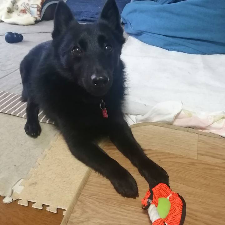 9c967bc8 a6e9 4bfb 8d34 b374b4122f32 1621380963697