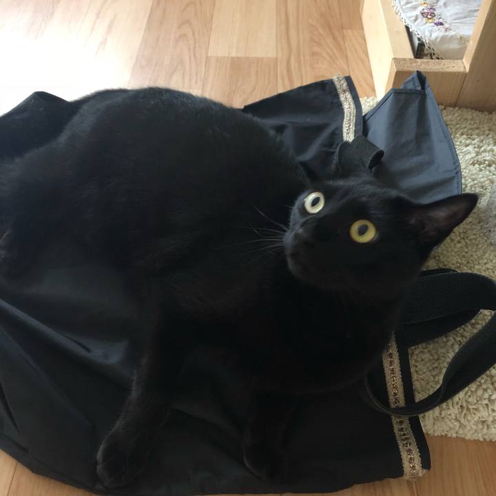 9c968fd6 8b33 454f 9171 ecae48927693 1530932455190