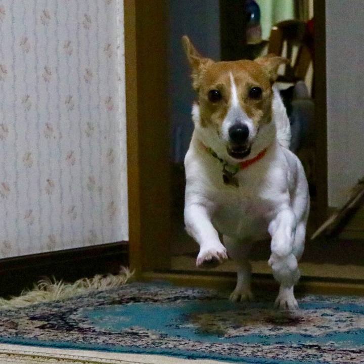 9c96f74f d53f 4531 ba6e 374a29e2f736 1549967974319