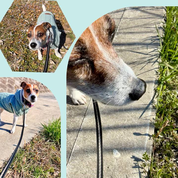 9c975ec4 947f 4070 9fb4 d066793cf3d9 1773734614124