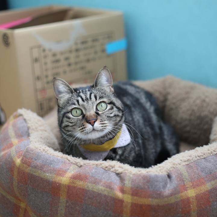 9c97705e 0764 4088 b3e9 27ec1f80f84c 1679024147175