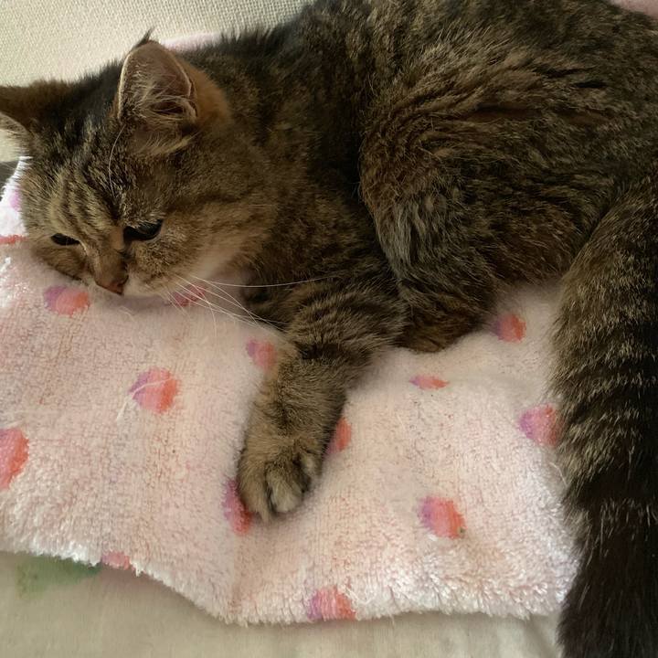 9c978b22 acc1 49f6 9b92 1fa3427cf24c 1562763688772