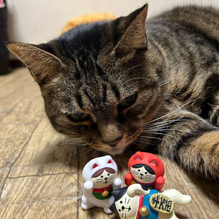 9c97aa5b 97e2 4069 aaa1 ce43eecccb2c 1705927131298