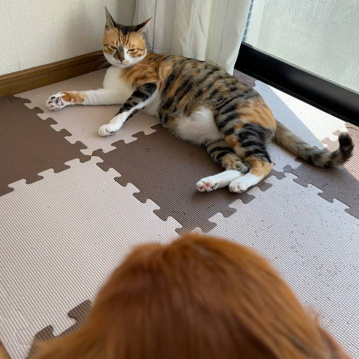 9c983b8c e05e 4519 89ae d5a4644bc279 1684190101264