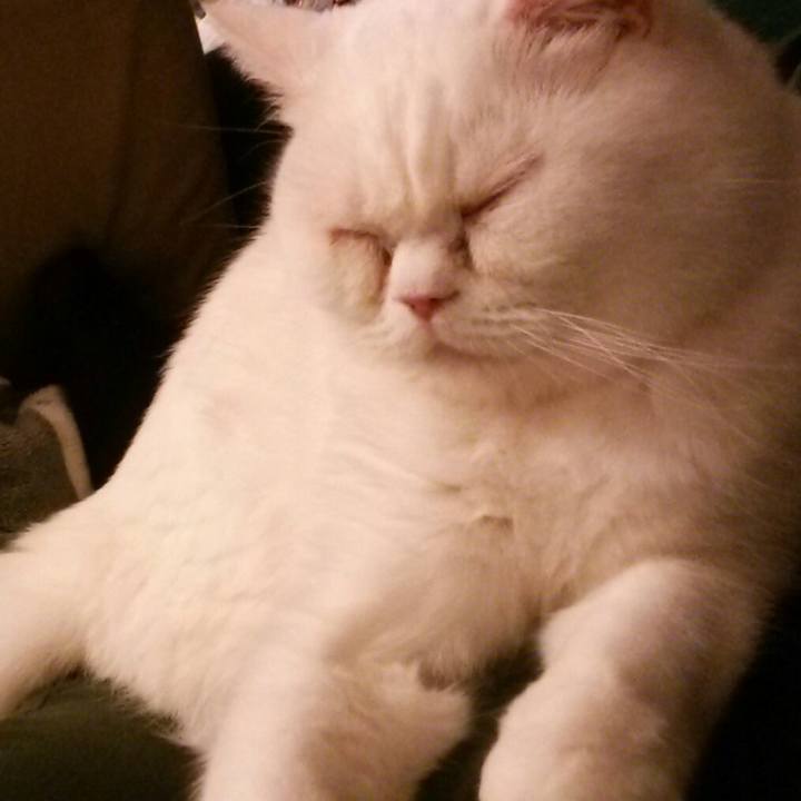 9c983bd0 b319 4a26 ad2e 2135f1bef26c 1519813374242