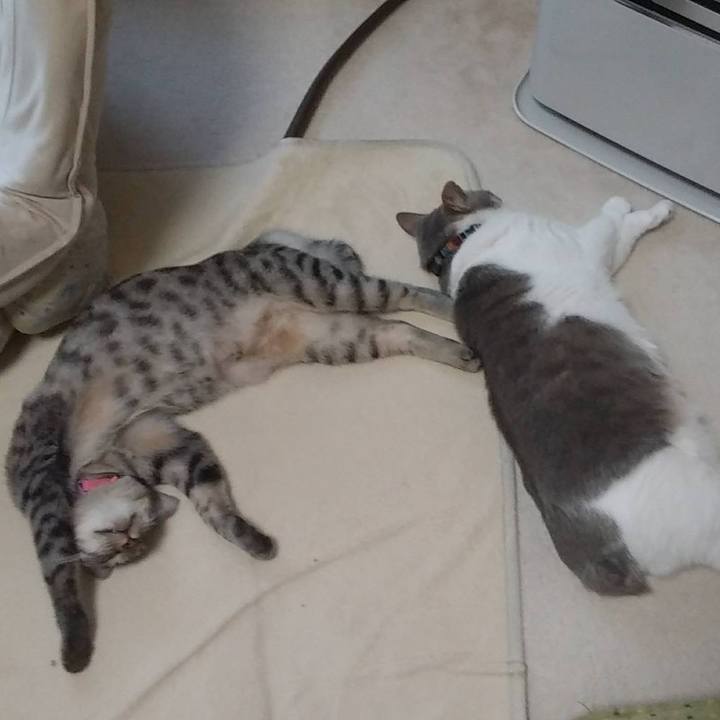 9c983e49 c8ad 4ba7 a056 711aed1e7e3a 1680535927411