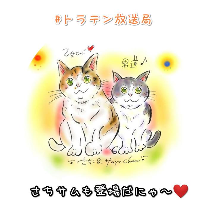 9c984661 a22c 43b5 9951 9da4ac182610 1582032350484