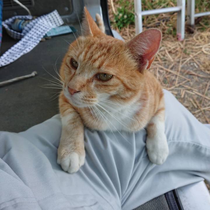 9c989753 469c 4e26 a6bf 4316a8598a90 1592990937869