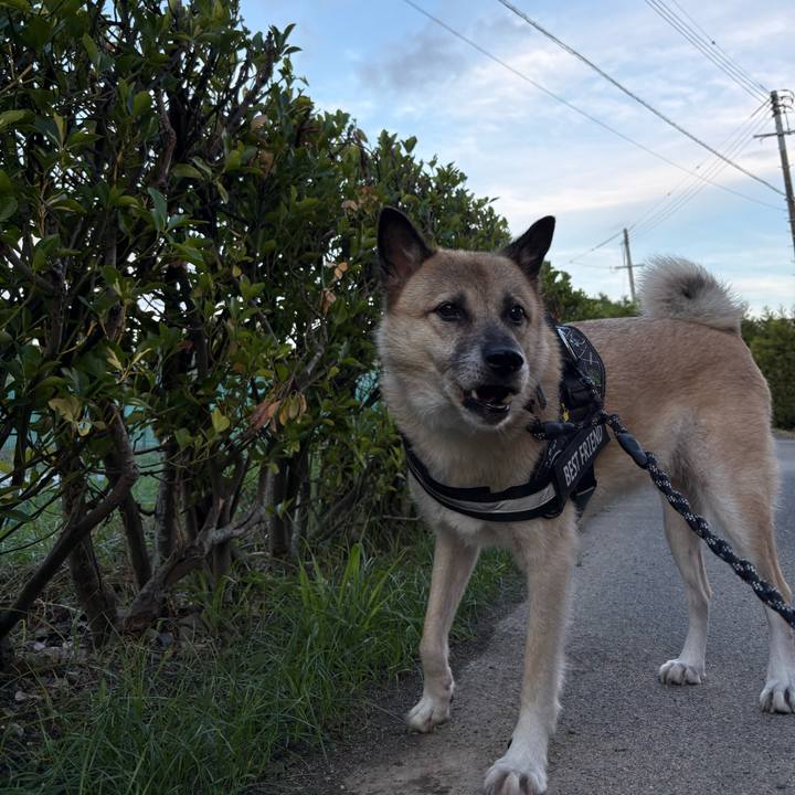 9c989945 1fe7 44ef 8611 9d94e8c0b2ea 1757419774110