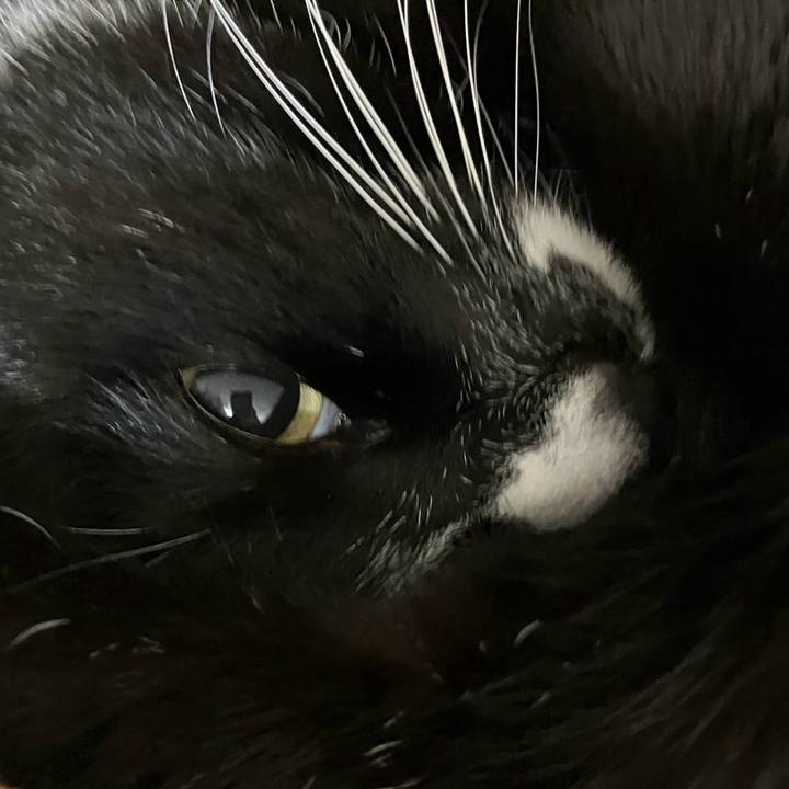 9c98b2d9 9544 4ebb 9fd0 c63eef46e33d 1743832873154