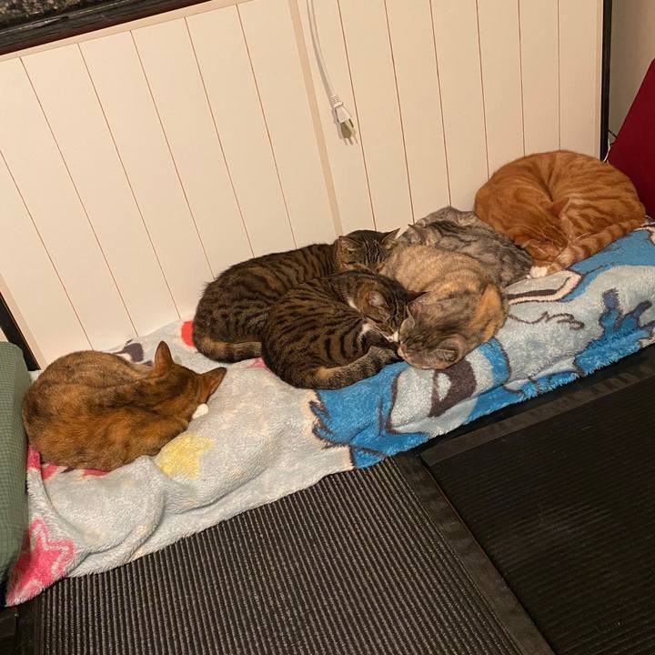 9c98c0b5 0e54 4410 b184 7a586d28949d 1582829273903