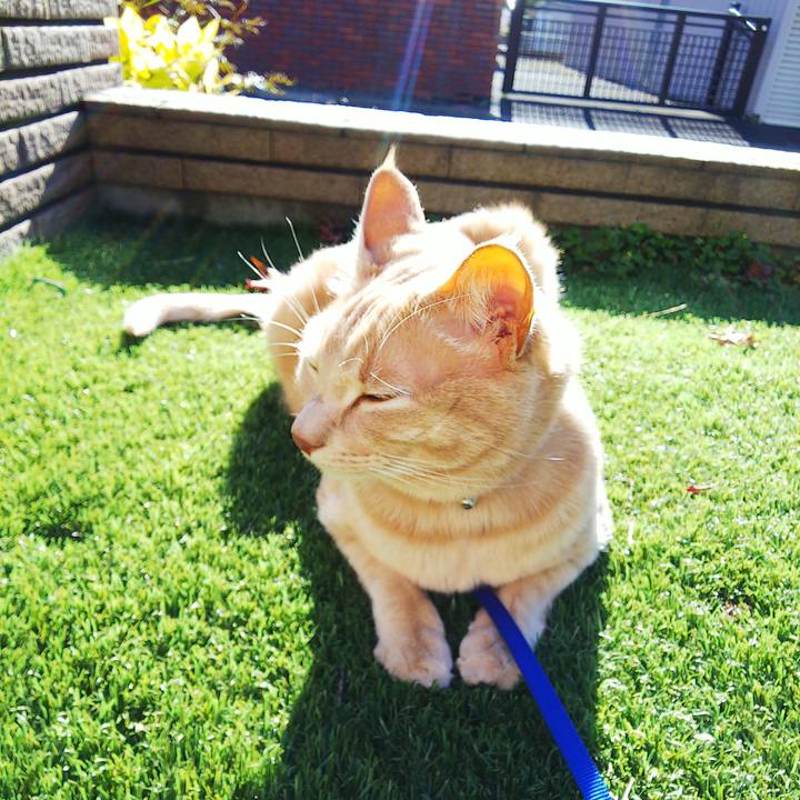 9c98c16b 0546 4f10 9dd0 b86aeee089f2 1602979952941