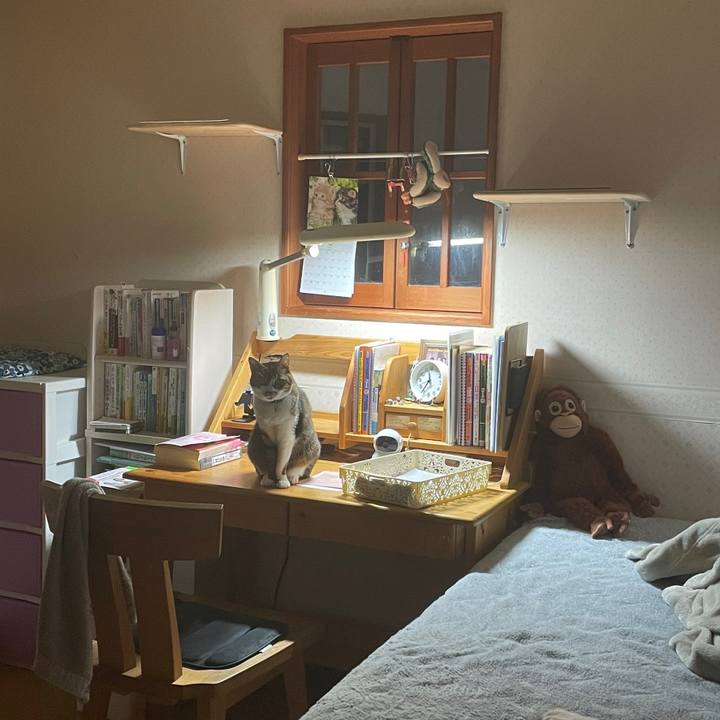 9c98c7b4 b385 4db9 ae04 258fc6769741 1646664303511